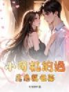 小司机的绝美总裁老婆