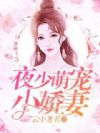 夜少萌宠小娇妻