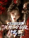 魔教宗主怀孕,关我一个杂役什么事