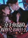 分手你提的,嫁你兄弟疯什么!